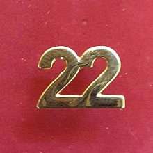 22 Pin Badge