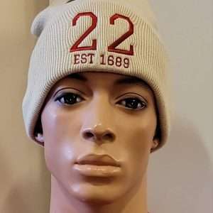 Beanie Hat Buff 22