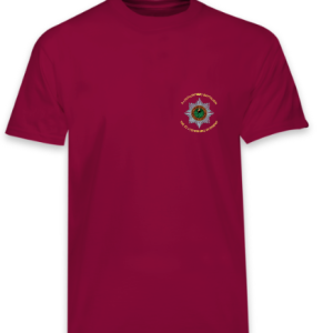 3rd Bn, The 22nd (CHESHIRE) Regt T-Shirt