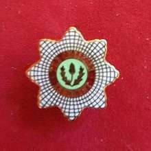 Cheshire Regiment Lapel Badge